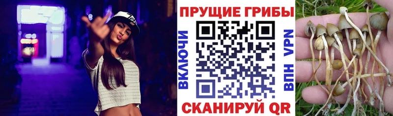 ссылка на мегу как войти  Магнитогорск  Псилоцибиновые грибы мухоморы  даркнет сайт 